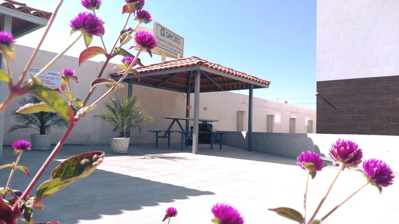Hotel Hi ! Torreon Aeropuerto-Galerias المظهر الخارجي الصورة